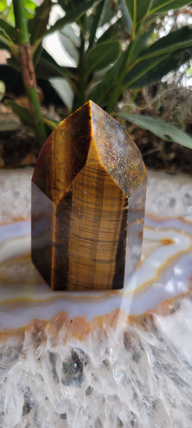 AAA Tiger Eye Point