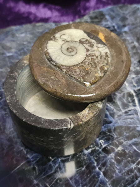 Ammonite Round Jewelry Box