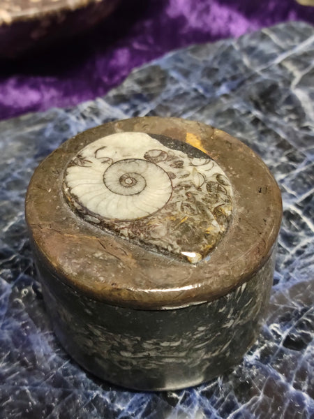 Ammonite Round Jewelry Box