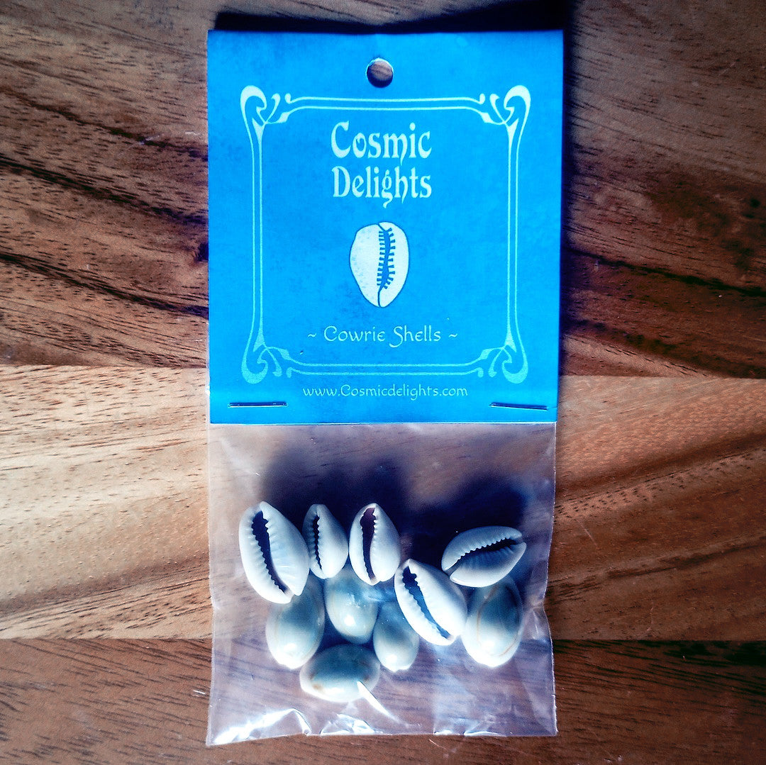 Cowrie Shells