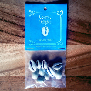 Cowrie Shells