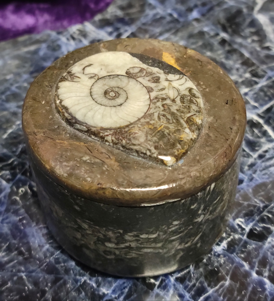 Ammonite Round Jewelry Box