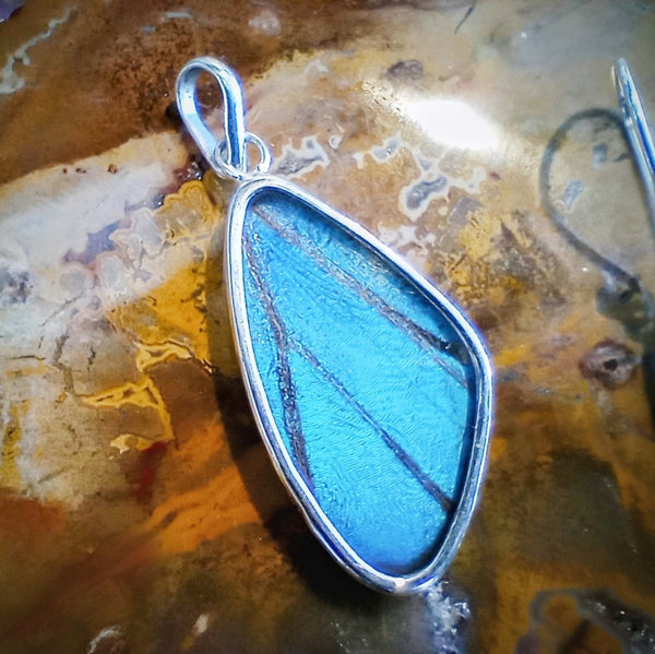 Blue Morpho Butterfly Wing Ethically Sourced Jewelry