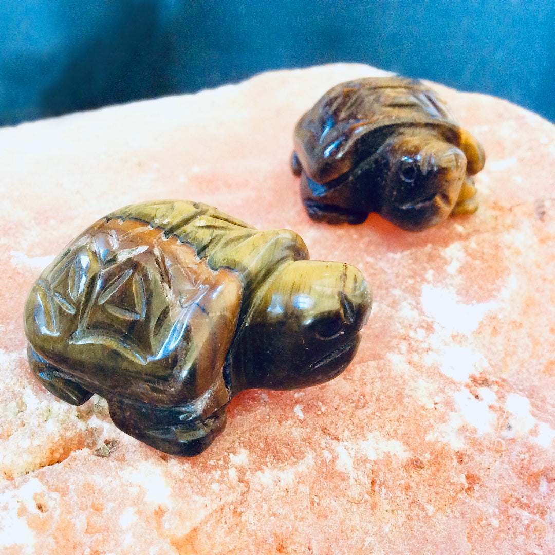 Tiger's Eye Turtles