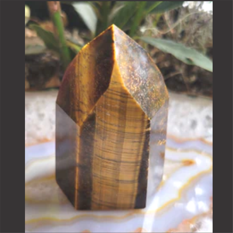 AAA Tiger Eye Point