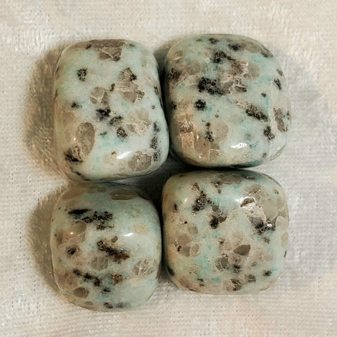 Kiwi Jasper Tumbled