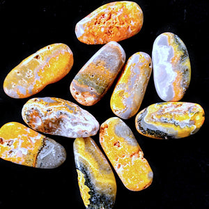 Bumblebee Jasper Stones