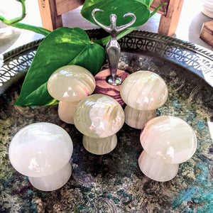 Banded Calcite Mushrooms