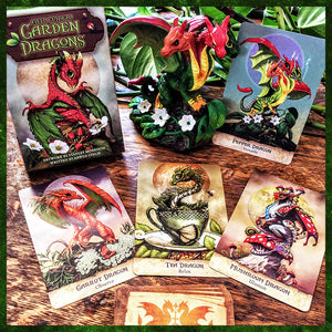 Field Guide to Garden Dragons Deck