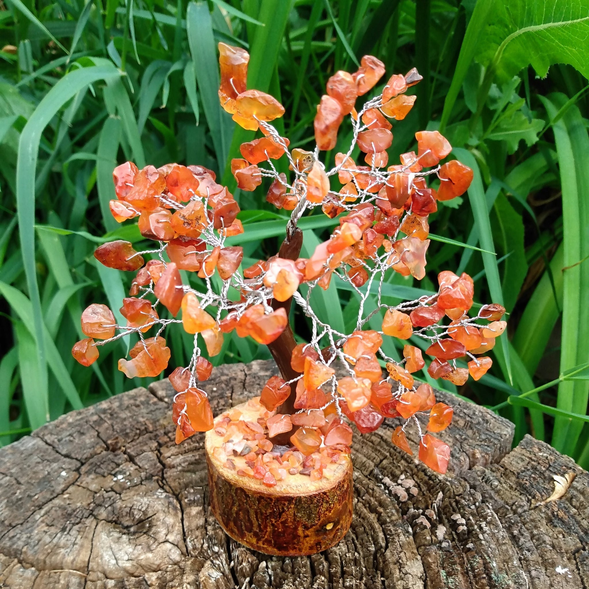 Carnelian Bonsai Gemstone Trees