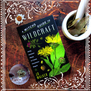 A WITCH'S GUIDE TO WILDCRAFT: Using Common Plants to Create Uncommon Magick
